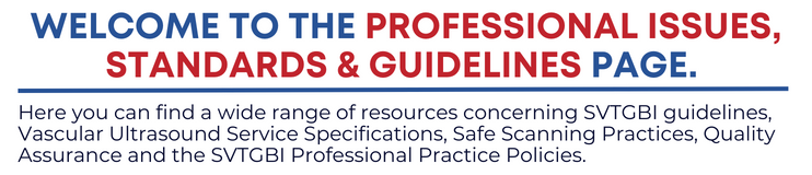  Professional Issues, Standards & Guidelines